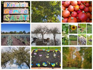 Kinder Zeit In Der Natur Kita Erfahrungen Warum Ist Es So Wichtig