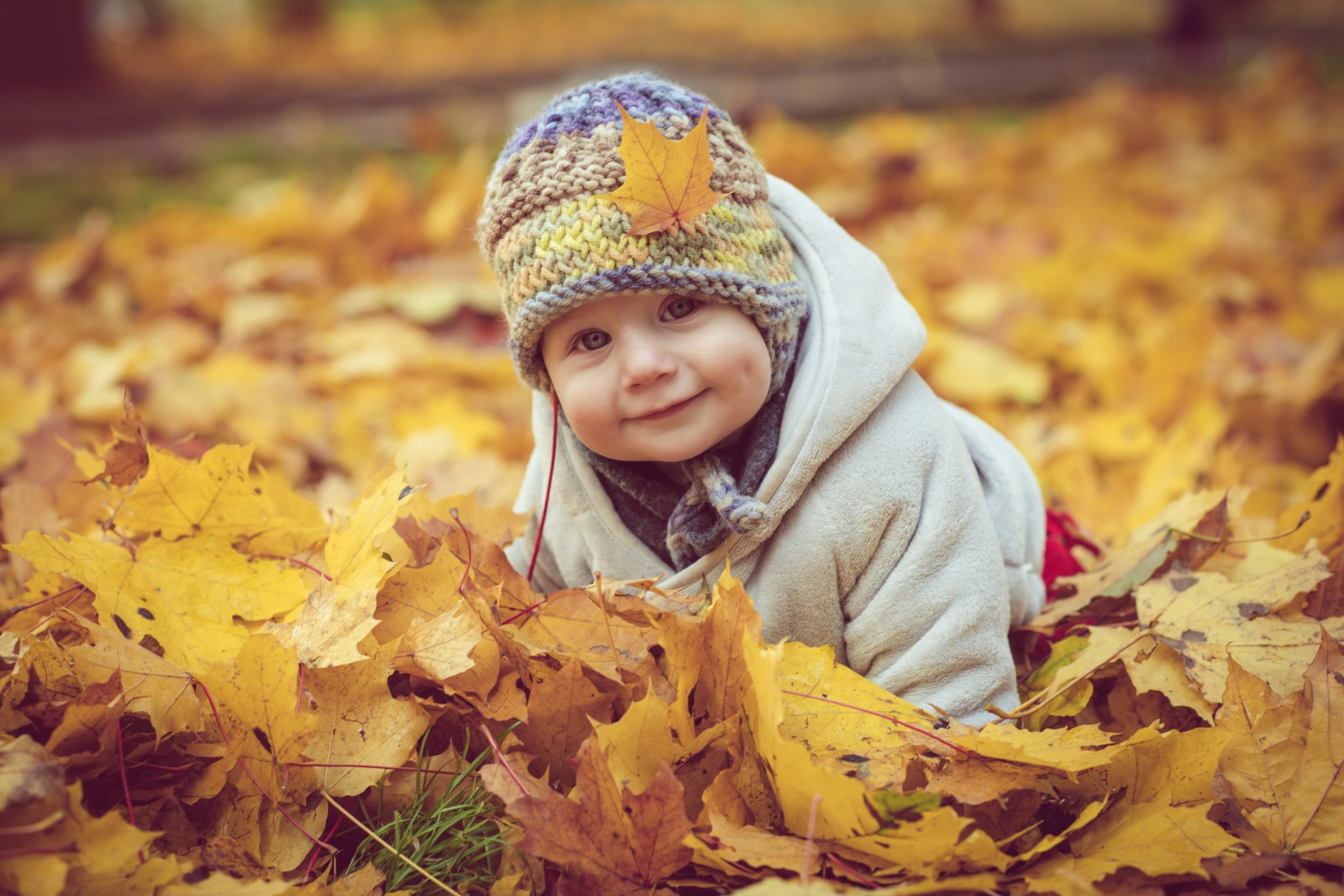 Happy Baby Boy In Autumn